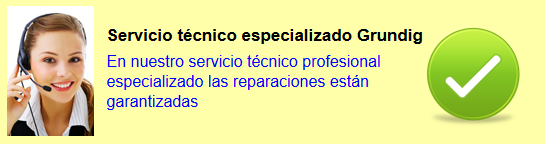 Servicio Técnico Especializado grundig